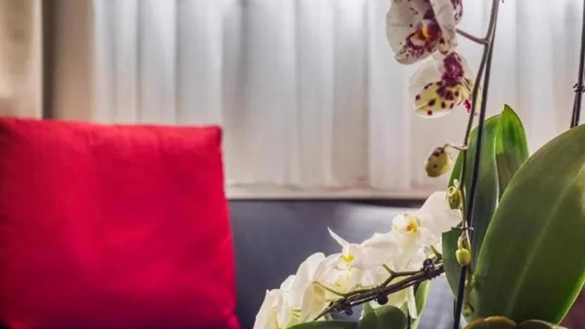 Hotel Le Richemont Paris
